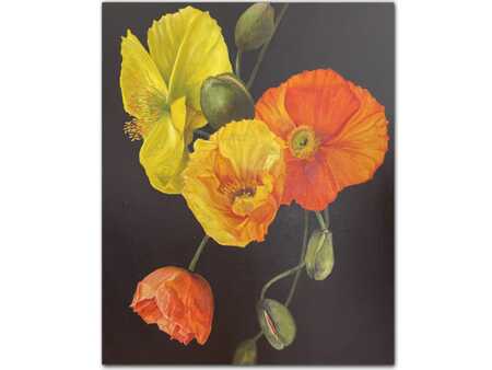 poppies artwork canvas floral